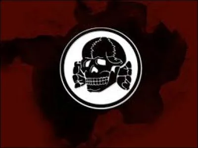 Observez attentivement le symbole ci-contre. Il est l'emblème tristement célèbre d'une unité de l'armée allemande, sous l'ère du IIIe Reich. Il s'agit de :