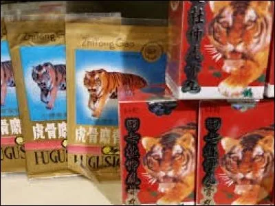 Dans quel pays, la poudre d'os de tigre est-elle soi-disant réputée pour ses vertus thérapeutiques, notamment pour soigner l'arthrite ?