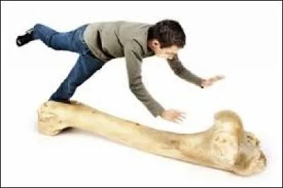 Selon l'expression, le fait de "tomber sur un os", équivaut à :