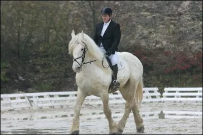 Quelle est sa race ?