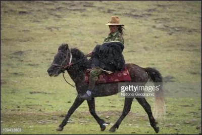 Quelle est sa race ?
