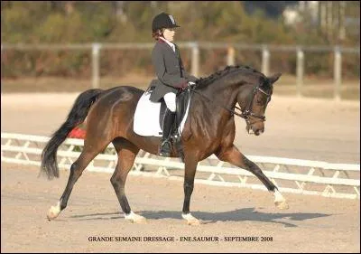 Quelle est sa race ?