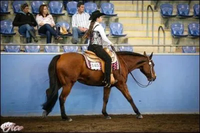 Quelle est sa race ?