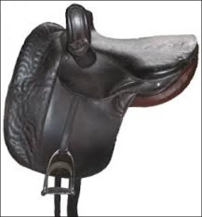 Quel est le nom de cette selle ?