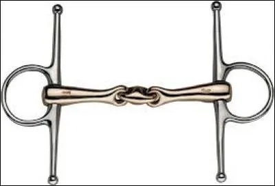 Comment s'appelle cette partie du filet ?