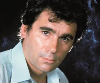 En 1980, qui a chanté "Le chat" ?