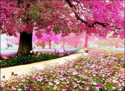 Quel poète a écrit "La Beauté" dans son recueil "Les Fleurs du mal" en 1857 ?