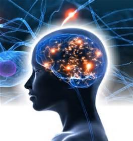 Quiz Sciences