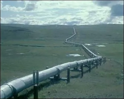 Qu'appelle-t-on parfois l'or noir ?