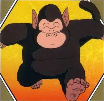 Qui vit avec Kaio de l'Est ?