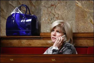 Moi Président, je ferai en sorte que nos élus soient irréprochables : Eh bien c'est raté, une députée française vote les lois à l'Assemblée Nationale avec un bracelet électronique à la cheville !