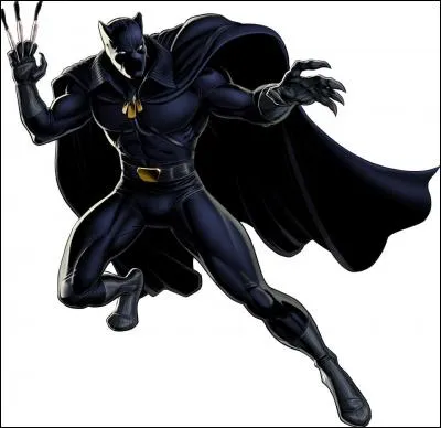 Quelle est la particularité de Black Panther (La Panthère noire), un super-héros appartenant à l'univers de Marvel Comics ?
