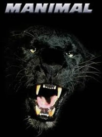 Dans la série "Manimal", à part en panthère noire, en quel animal le héros se transforme-t-il régulièrement ?