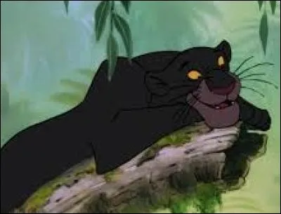 Comment s'appelle la plus connue des panthères noires ?