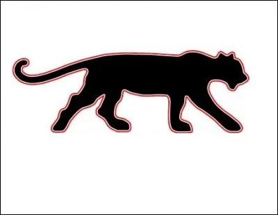 Quelle marque de vêtements de sport a été créée en 1999 par l'ancien boxeur d'origine malienne Malamine Koné (surnommé "la panthère") ?