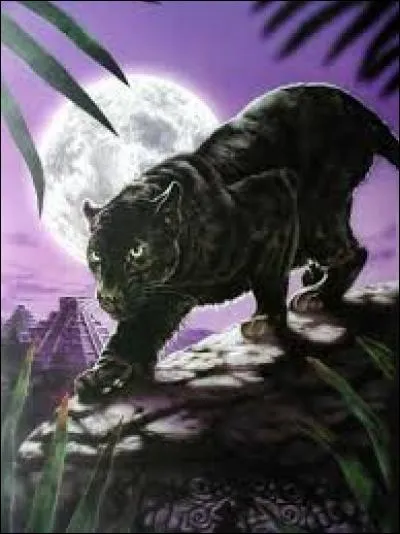 Qui apparaît sous la forme d'une panthère noire en bonus à la fin du clip de "Black or White" ?