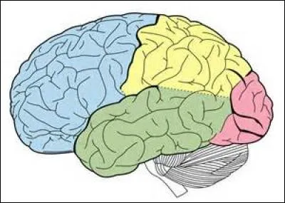 Quelle proposition est la bonne ?