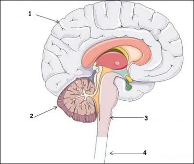 Quelle proposition est la bonne ?
