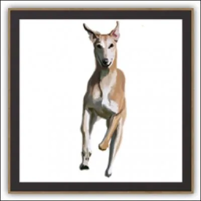 Quelle est cette chienne ?