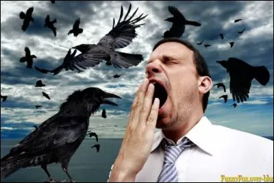 À son travail, il rêvasse, il baye aux...