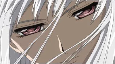 Qui est le fiancé de Shizuka Hiô ?