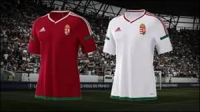 [Hongrie] Budapest, capitale hongroise, fut créée en 1873. Son nom s'est ainsi formé par la fusion des noms de "Buda", "Obuda" et "Pest". Qu'étaient exactement ces derniers ?