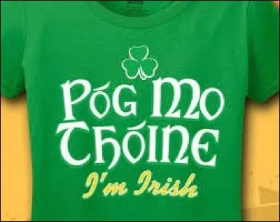 [Irlande] Comment se prénomme le saint patron de l'Irlande ?