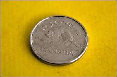 Quelle est la valeur de cette pièce de monnaie canadienne, où on peut voir un castor ?