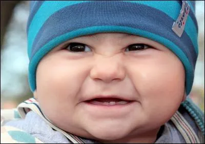 Que vous avez de grandes dents ! À ce sujet, combien de dents un homme adulte possède-t-il ?