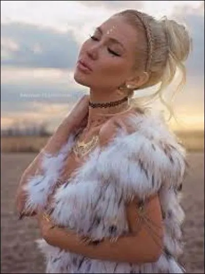 Quel est le projet pro d'Andreanne Chamberland ?