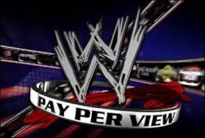 Lors de quel PPV a-t-il perdu son titre de WWE champion en 2013 ?