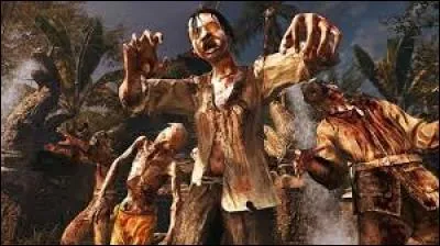 Quelle est cette carte ?