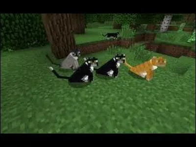 Quel monstre le chat fait-il fuir ?