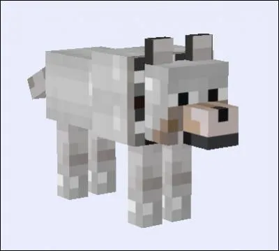 À quoi sert un loup apprivoisé ?