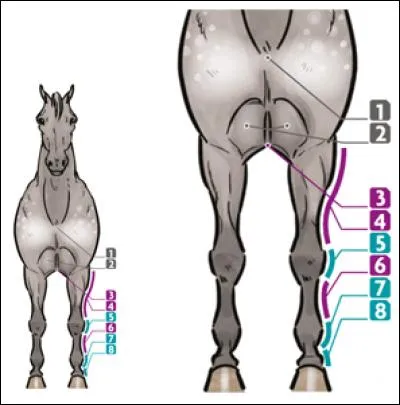 Quel est le nom du numéro 3 ?