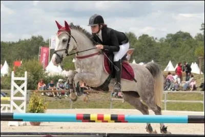 Comment appelle-t-on l'objet que le cheval doit sauter par-dessus ?