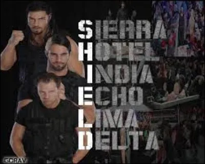 De quelles superstars est composé le Shield ?