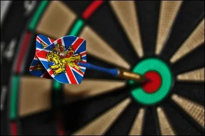 Il a envoyé la fléchette en plein milieu de la cible, on peut dire qu'il a...