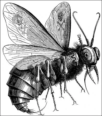 Dans la Bible, quel démon est appelé "seigneur des mouches" et est souvent représenté sous la forme d'une mouche géante ?