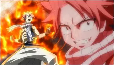 Laquelle de ces techniques fait partie de "Natsu" ?