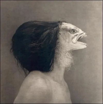 Quelle déesse grecque se changea en poisson pour échapper au monstre typhon ?