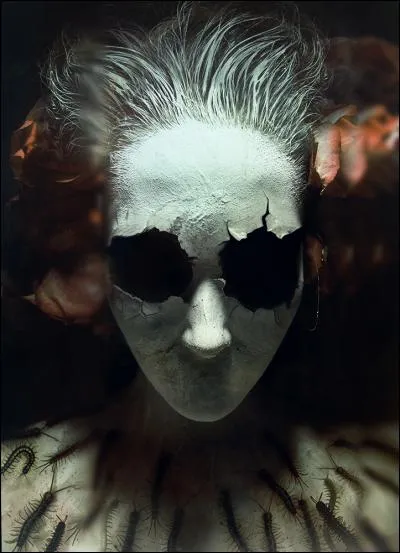 Femme-fantôme issue de la mythologie irlandaise, son cri vous glace le sang. Qui est-elle ?