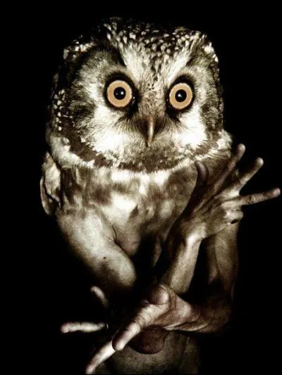 Pour avoir rapporté des propos sur sa fille Perséphone, Déméter le transforma en hibou. Qui est-il ?