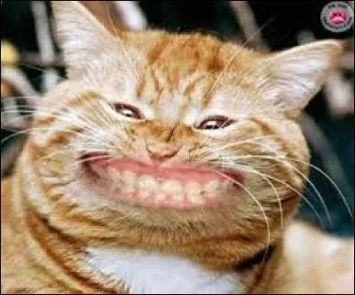 Jour 15 - Mon monde se porte bien et est heureux, j'en profite. J'ai même inventé l'appareil photographique pour immortaliser ce moment. Et pour prévenir les gens que je prenais une photo, il a suffi d'un mot, après lequel ils ont tous souri...