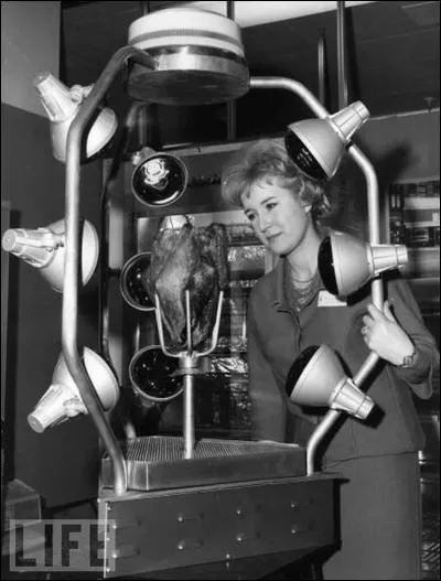 Pourquoi vous emb&ecirc;ter &agrave; mettre la dinde de No&euml;l au four alors que quelqu'un s'est cass&eacute; la t&ecirc;te &agrave; vous inventer les "Lampes de cuisson pour la dinde" ?