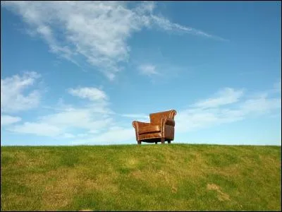 Voilà le plan : je l'assomme, on pose ce gros lourd sur le fauteuil club juste à côté, et on rentre tranquillement. C'est clair ? Non ? Vous ne savez pas ce qu'est un fauteuil club ? Peut-être que vous le connaissez mieux sous le nom de fauteuil...