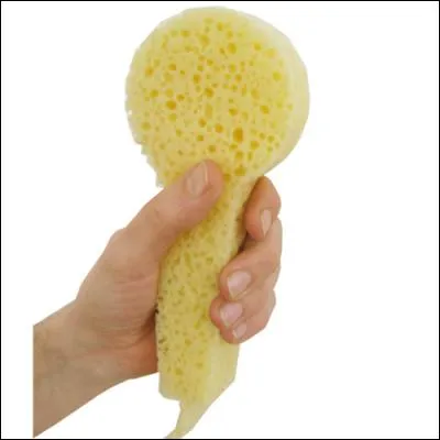 Pourquoi a-t-on spécialement inventé cette éponge ?