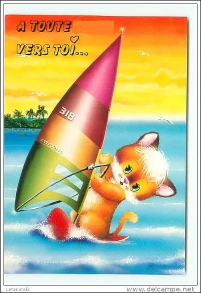 En 1958, le jeune Anglais Peter Chilvers, grand amateur de sports nautiques, améliore sa planche de surf pour aller plus vite. Qu'y ajoute-t-il ?