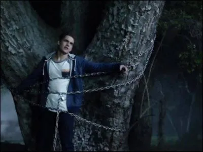 Qui est la petite amie de Lyam ?