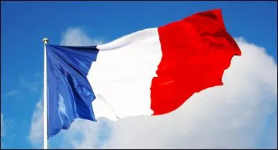 Passons au drapeau, représentant de la nation. Comment La Fayette explique-t-il le choix du bleu, du blanc et du rouge dans ses mémoires ?